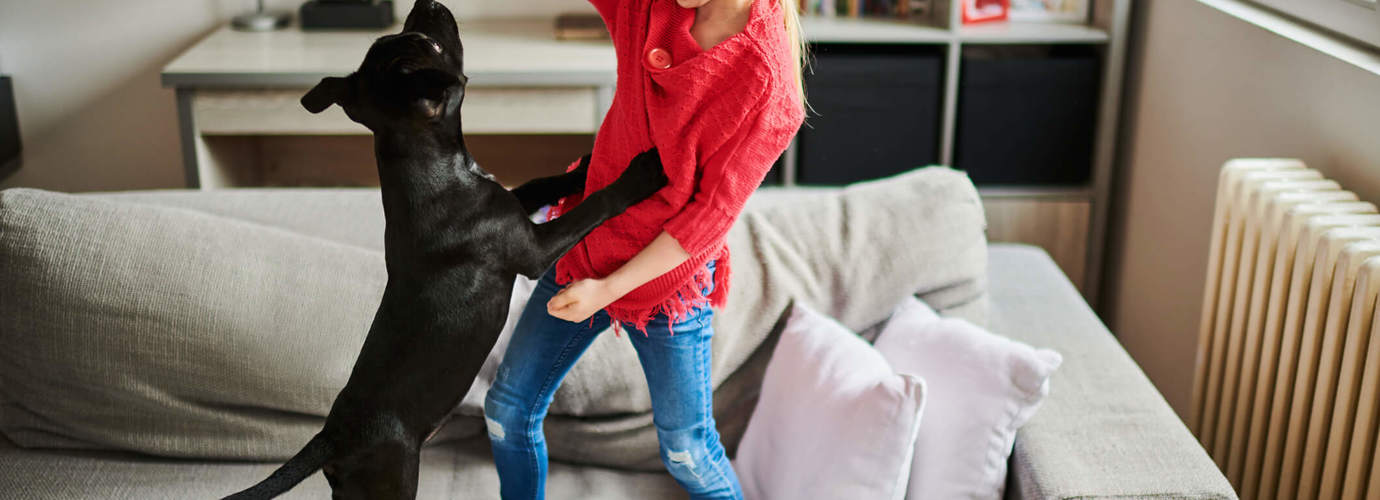 Een nieuwe puppy - checklist voor hondenbenodigdheden