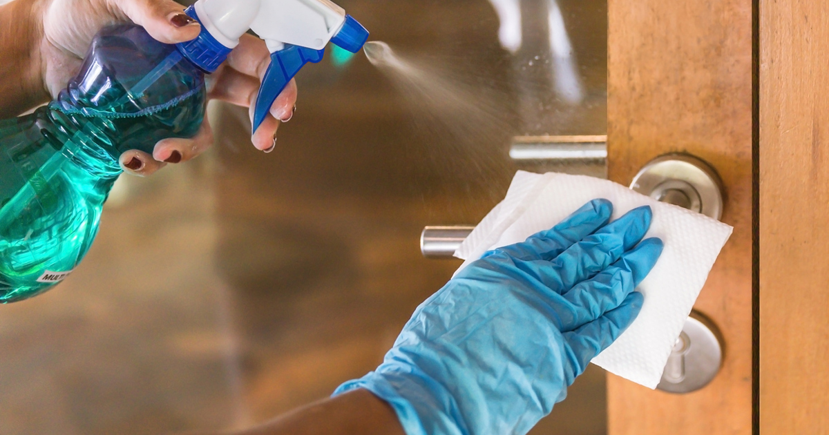 Bacteria In The Kitchen Places To Check & How to Clean Them Plenty