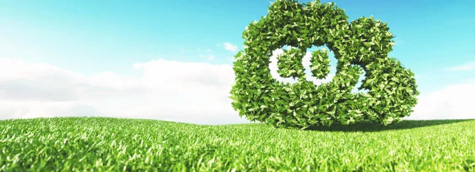 Minimising the carbon footprint of our products
