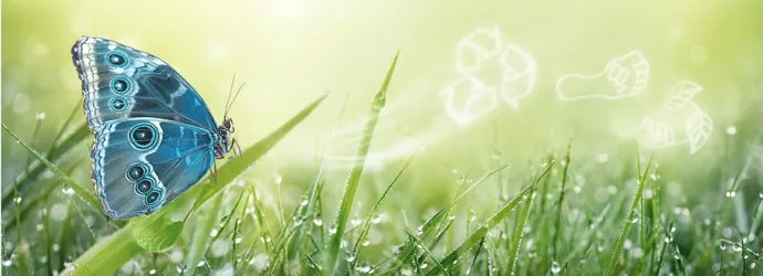 We’re committed to reducing our environmental impact