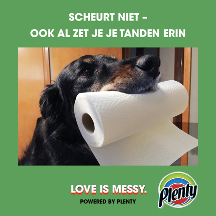 Plenty Love is Messy Meme Dog