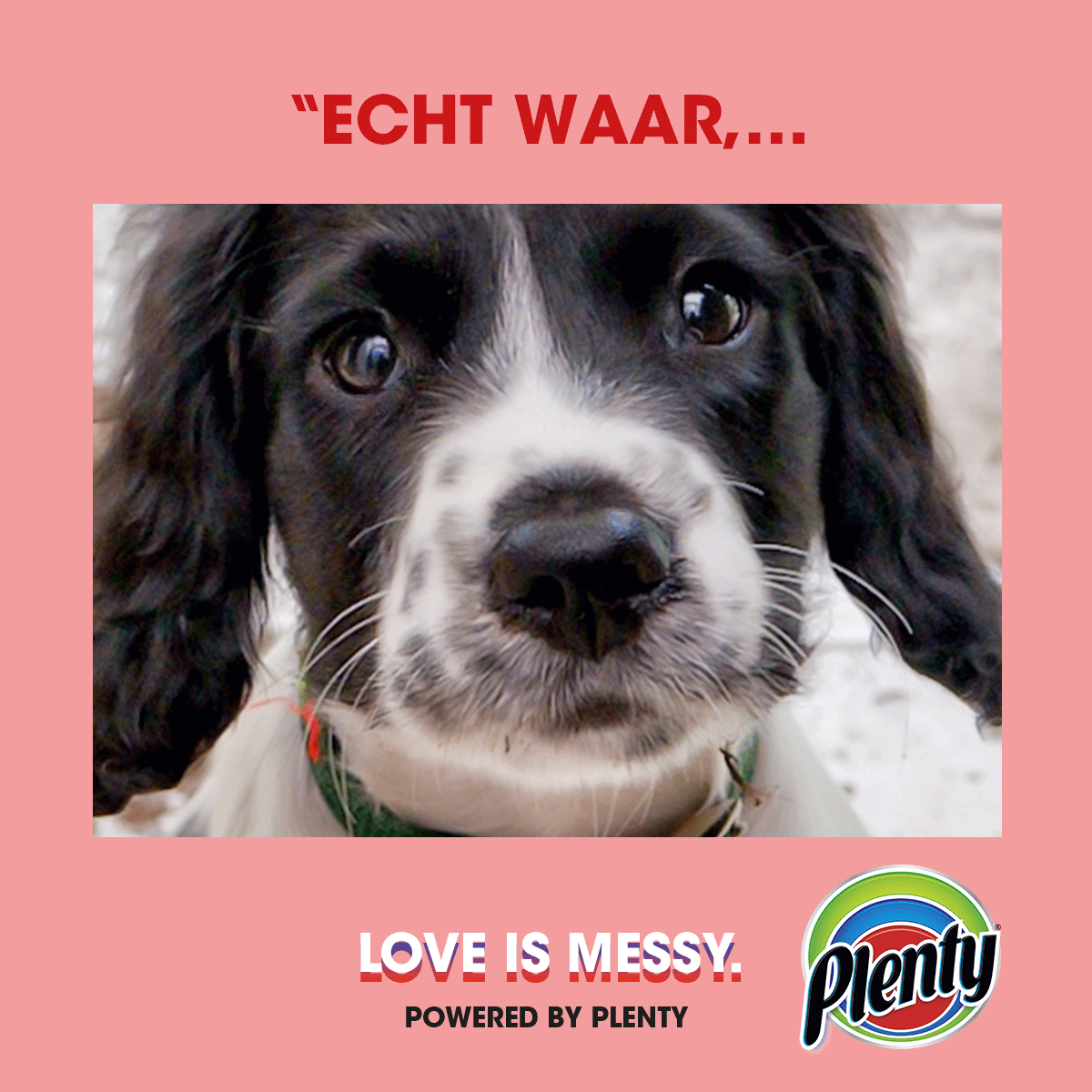 Plenty Love is Messy Meme Bloempot