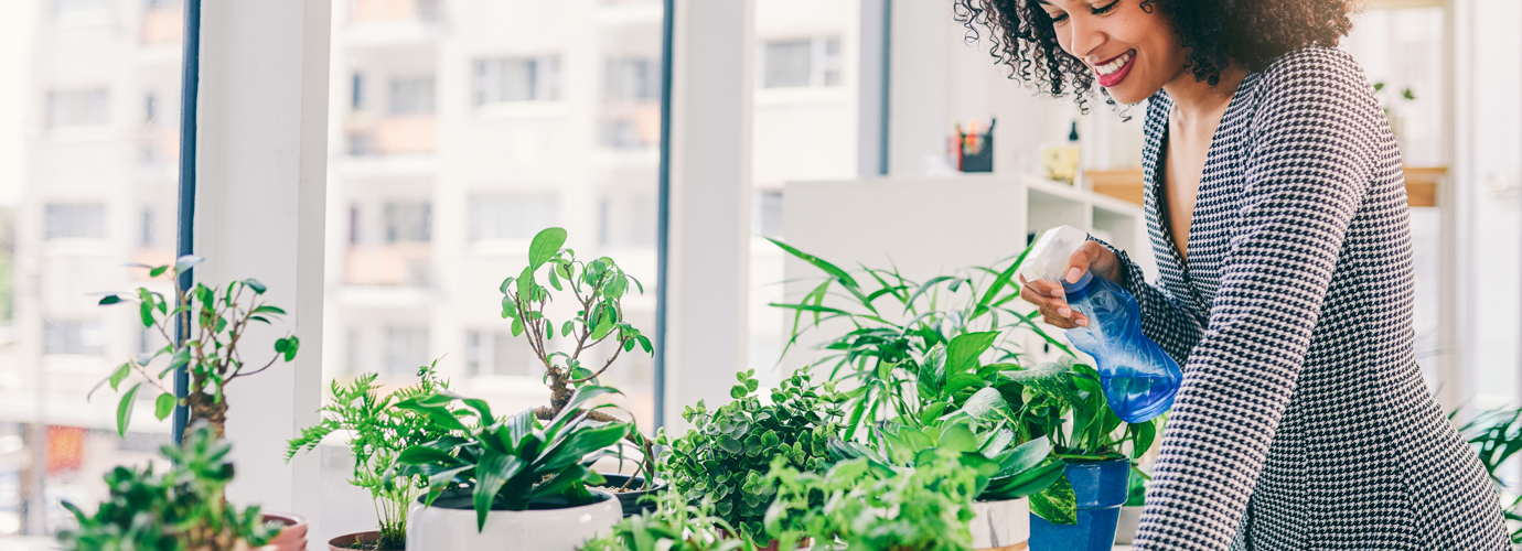 A beginner's guide to growing from cuttings